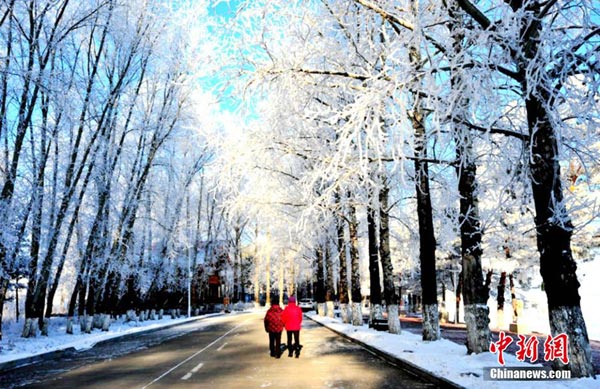 Beautiful rime in NE China's Great Khingan Mountains