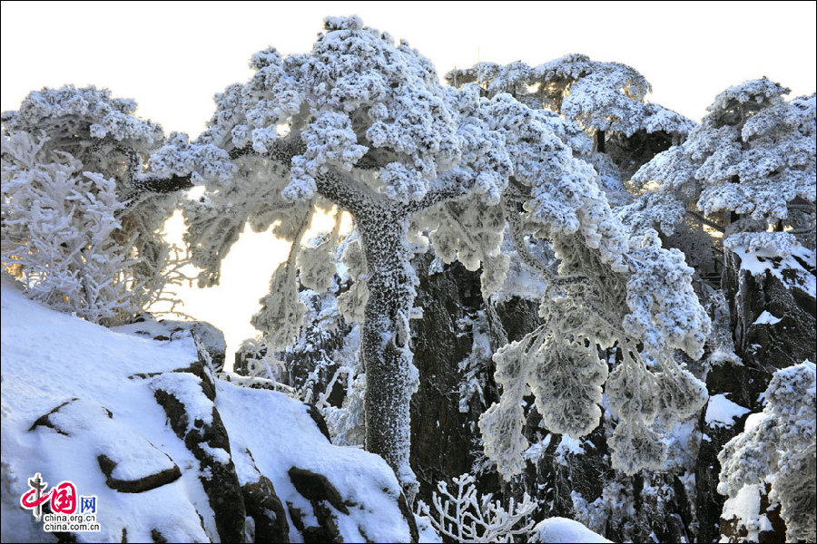Mount Huangshan, a fairyland in winter