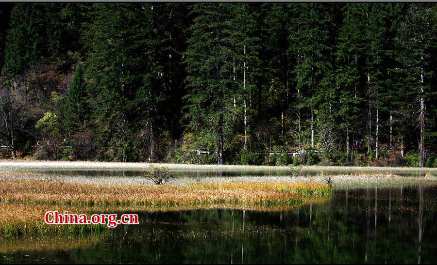 Enchanting autumn scenery of Jiuzhaigou