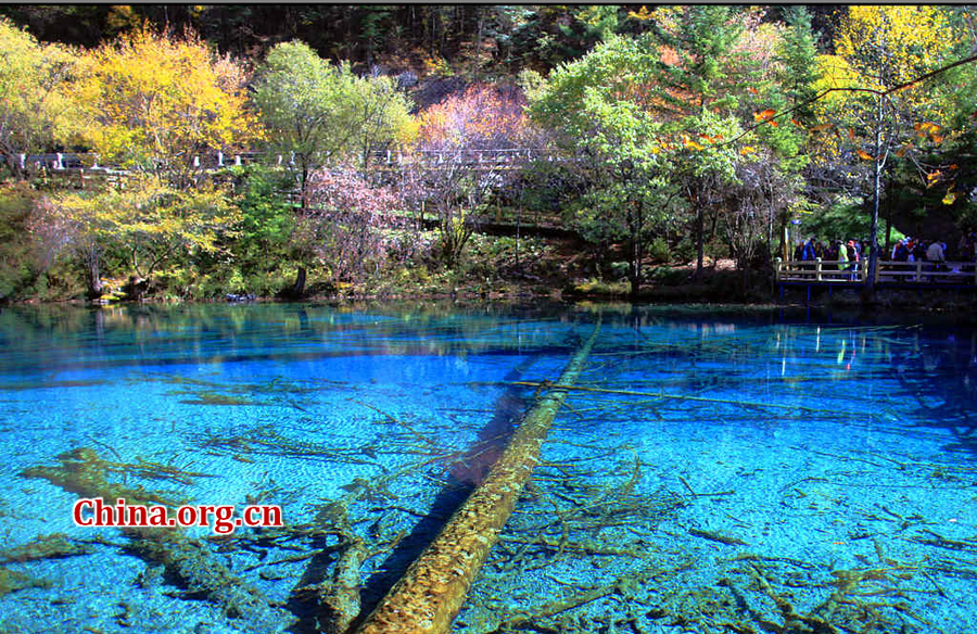 Enchanting autumn scenery of Jiuzhaigou