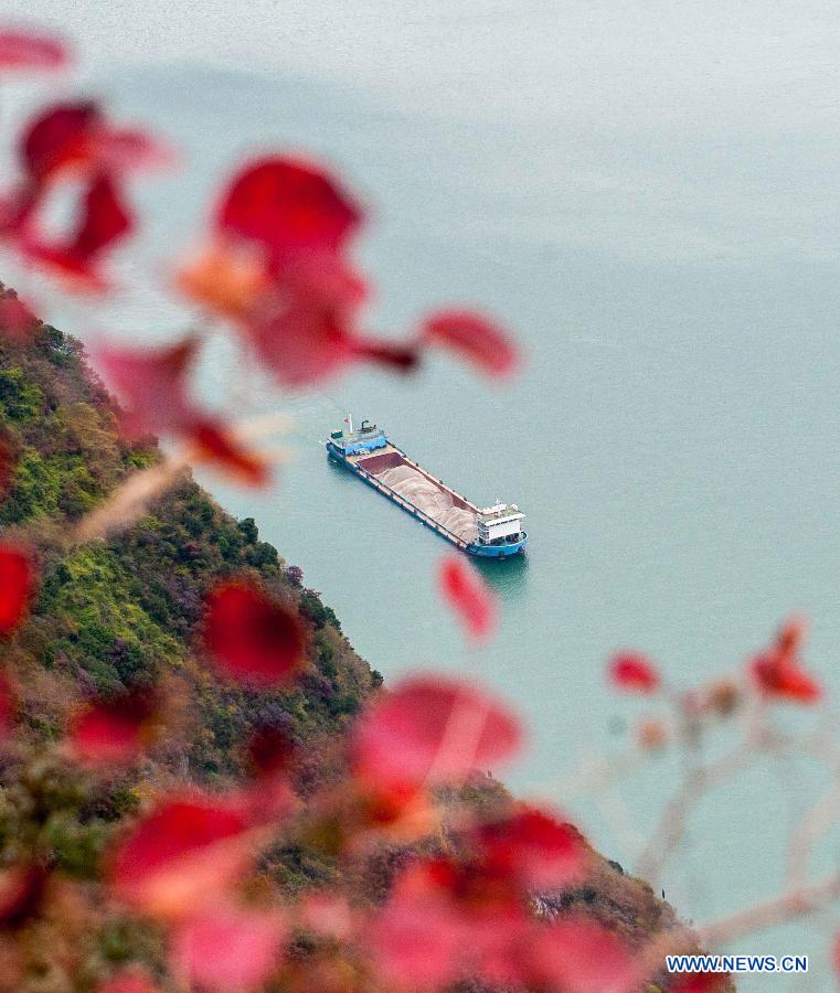 Wushan county covered by red leaves