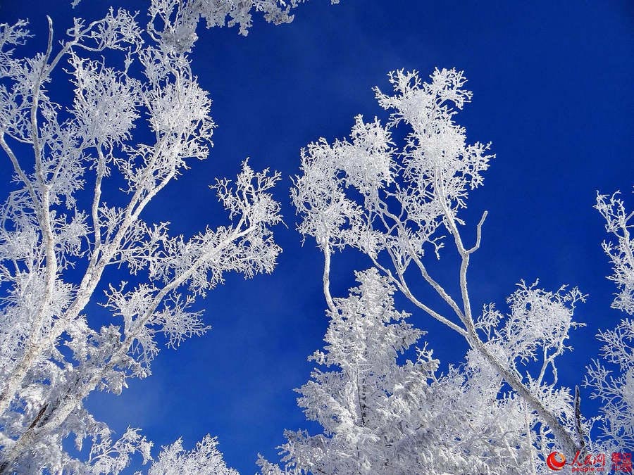 Snow-covered Erlanghe in Heilongjiang