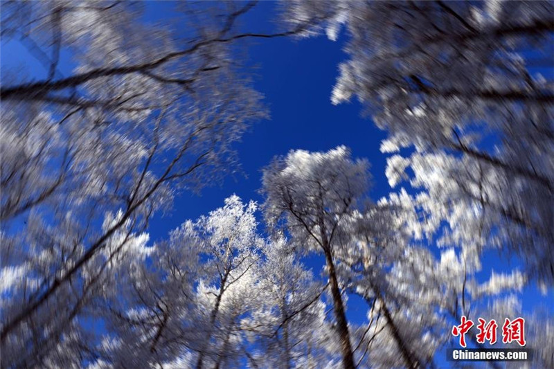 Rime blankets Inner Mongolia