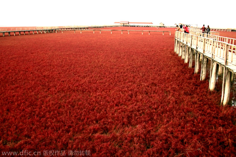 World's most colorful landscapes