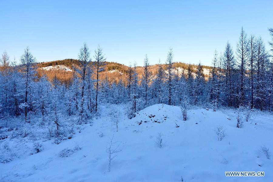 Winter scenery of Moridaga Forest Park