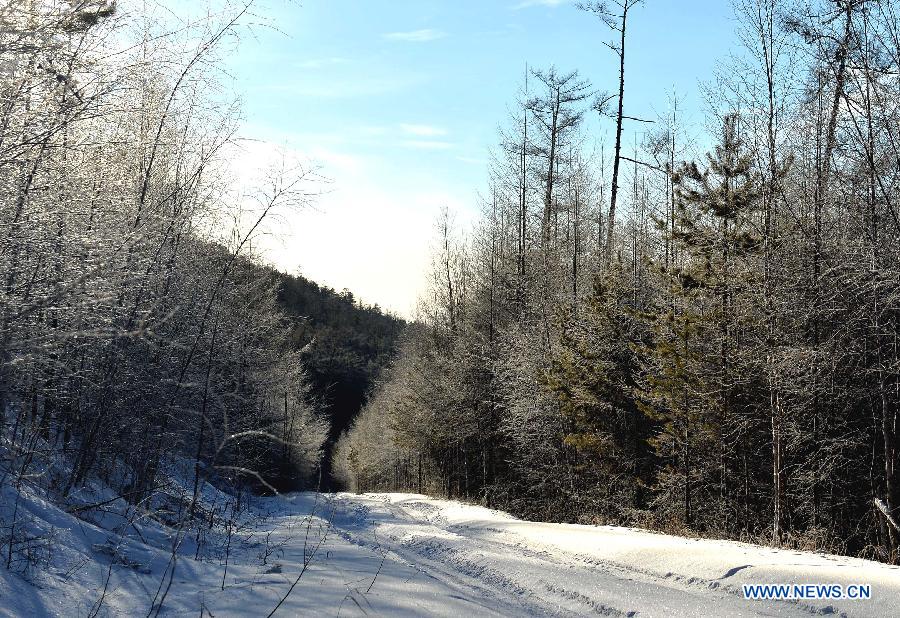 Winter scenery of Moridaga Forest Park