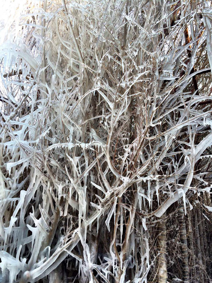 Frozen beauty of Gubei Watertown