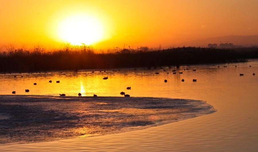 Picturesque Zhangye National Wetland Park