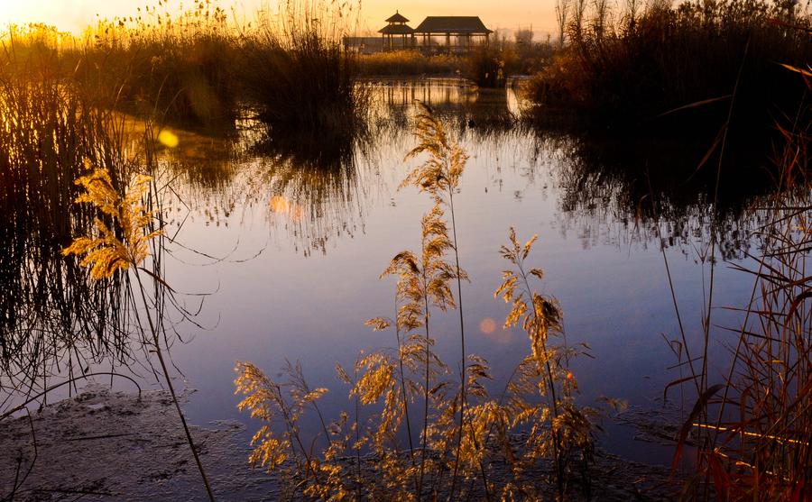 Picturesque Zhangye National Wetland Park