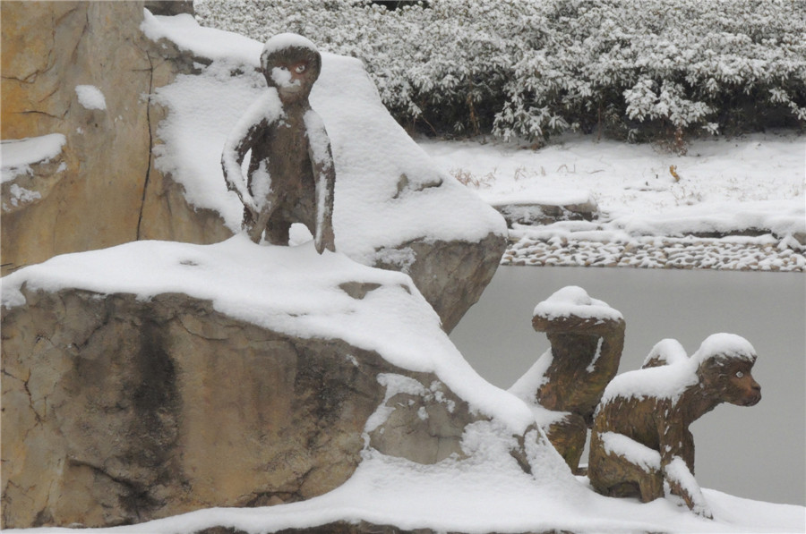 Stone monkeys enjoy snowfall