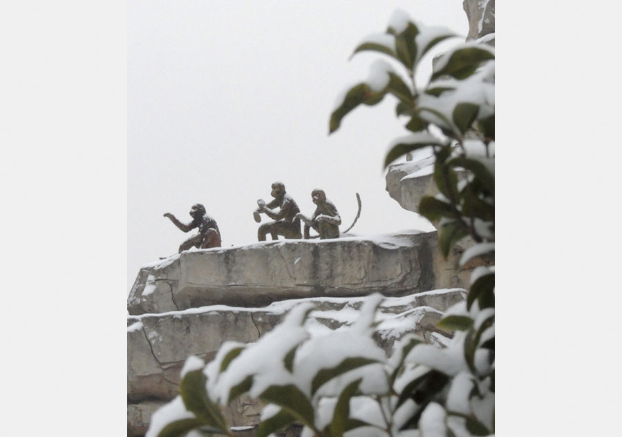 Stone monkeys enjoy snowfall