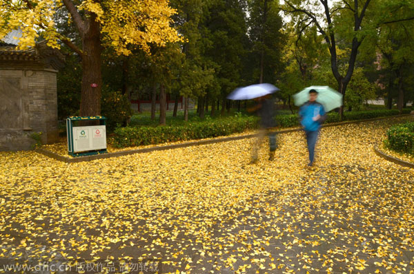 Beijing among world's most romantic cities