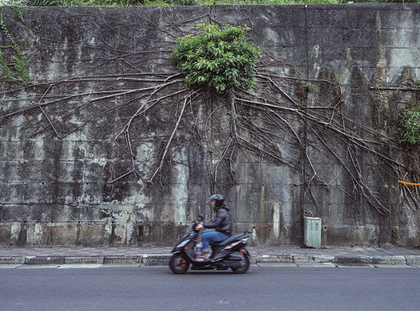 Scooter vision