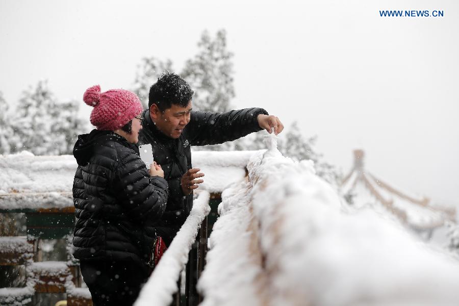 Snowfall hits Beijing amid Spring Festival