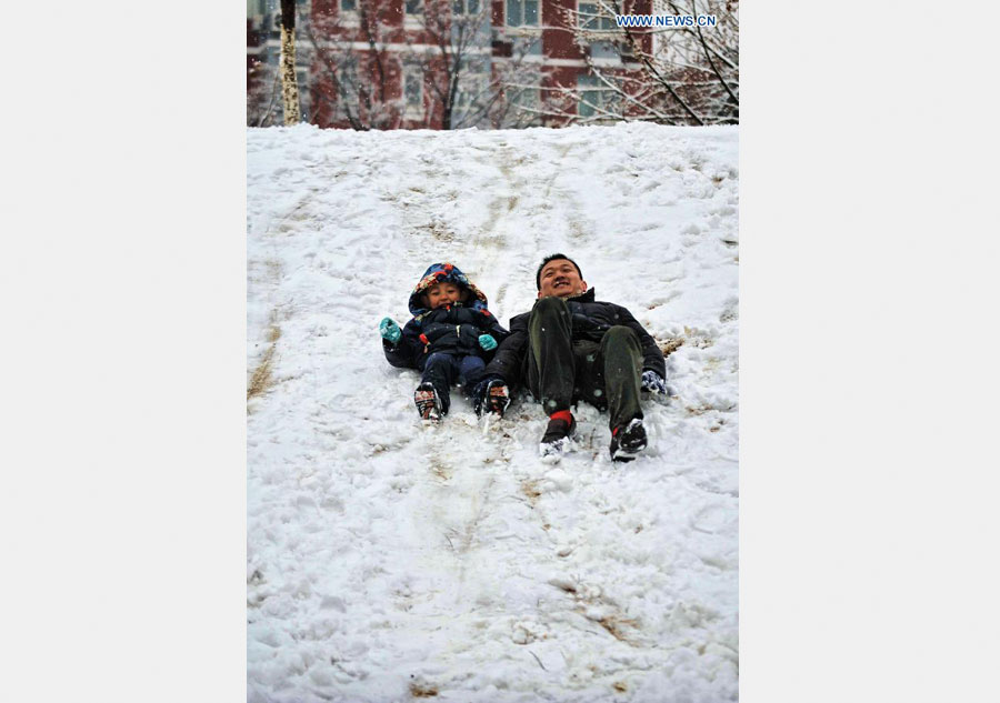 Snowfall hits Beijing amid Spring Festival