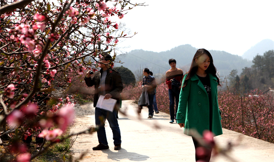 Spring flowers bloom across China