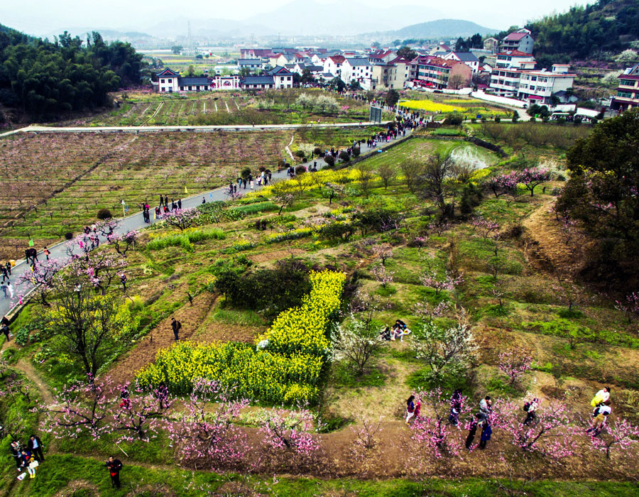 Flowers blossom boosts local tourism