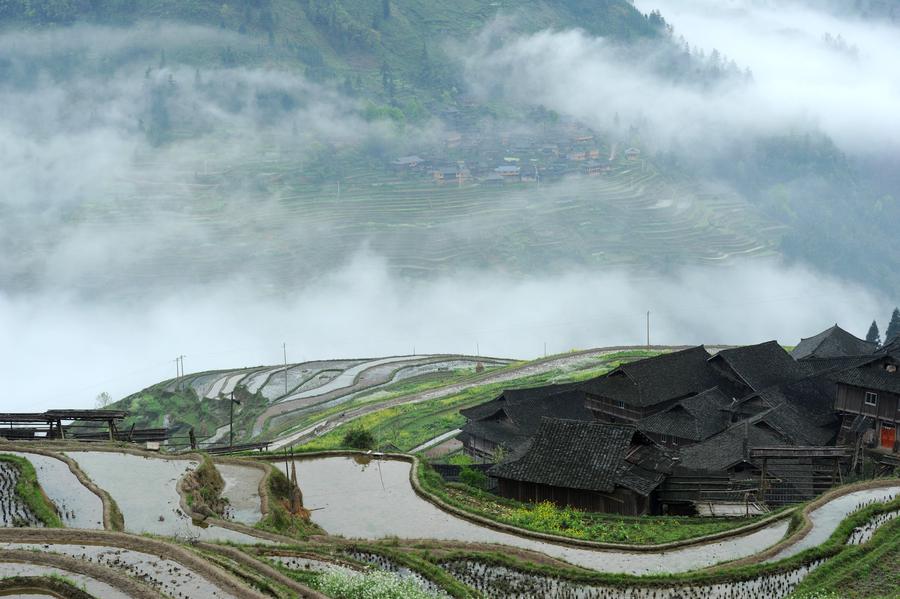 Scenery of terraced fields in China's Guizhou