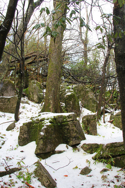 Spring turns thermometer back to winter in Hunan