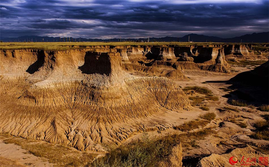 Marvelous landscape of earth forest in Datong