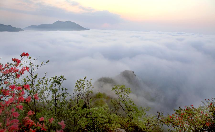 Incredible scenery of cloud-shrouded Wuji Mountain in China's Anhui