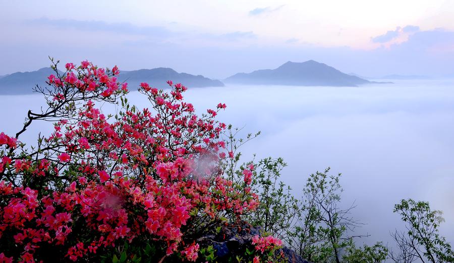 Incredible scenery of cloud-shrouded Wuji Mountain in China's Anhui