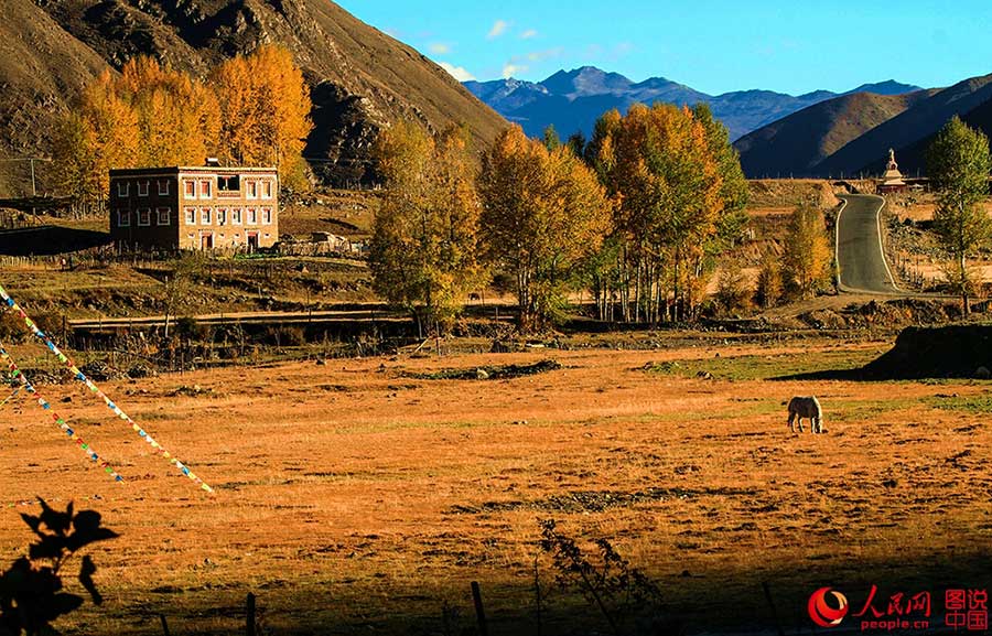 Picturesque Xinduqiao town in SW China