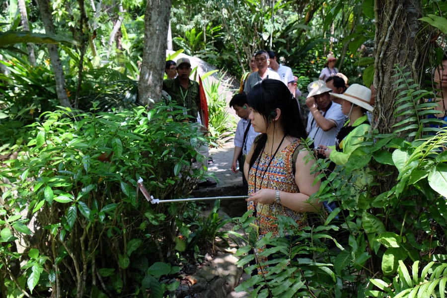 Yanoda! China's jungle experience