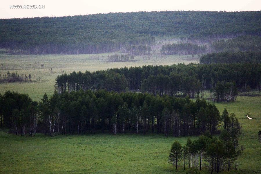 Scenery of Nanweng River National Nature Reserve