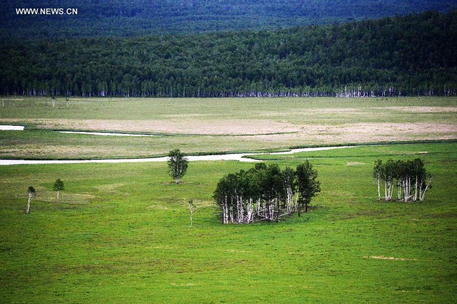 Scenery of Nanweng River National Nature Reserve