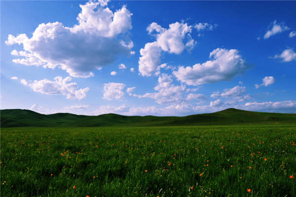 Wulagai, the grassland on the edge of sky