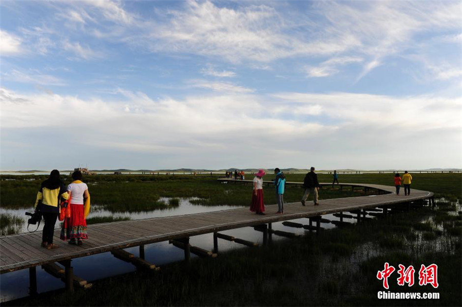 Ruoergai: China's most beautiful wetland