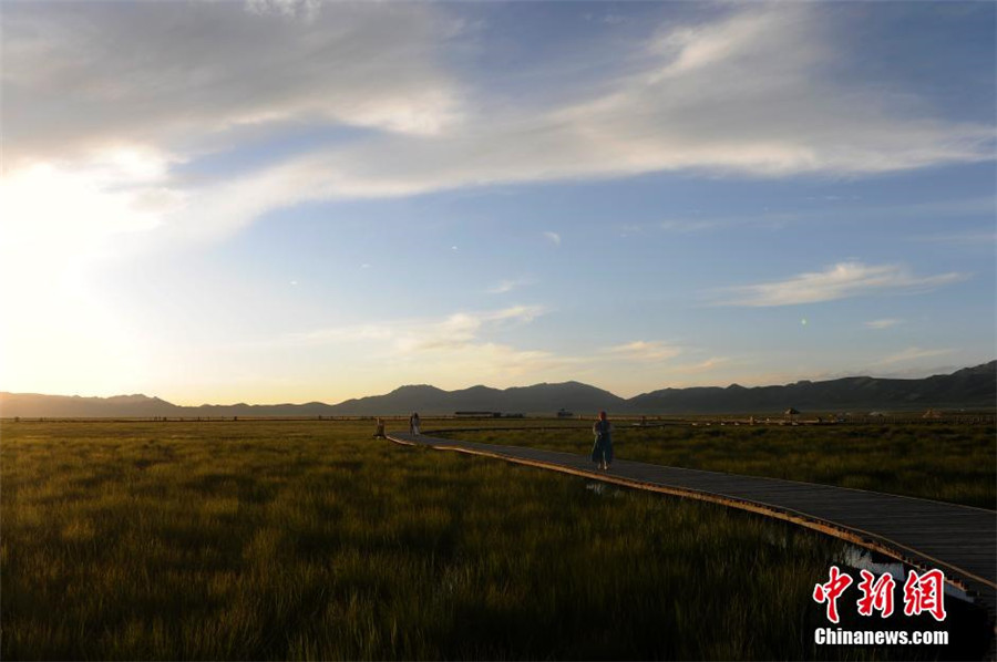 Ruoergai: China's most beautiful wetland