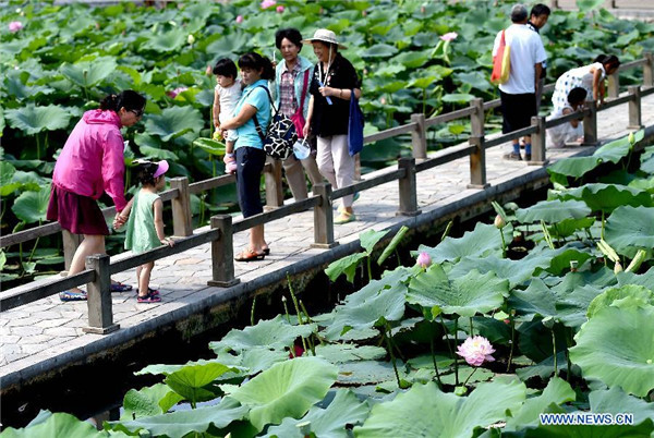 Lotus flower show kicks off in China's Henan