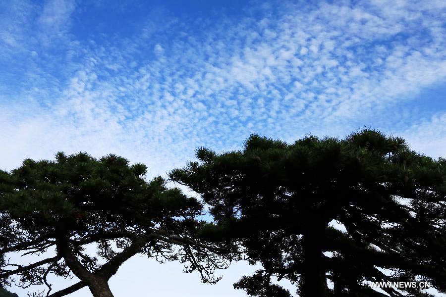 Cloud scenery after rainfall seen in E China