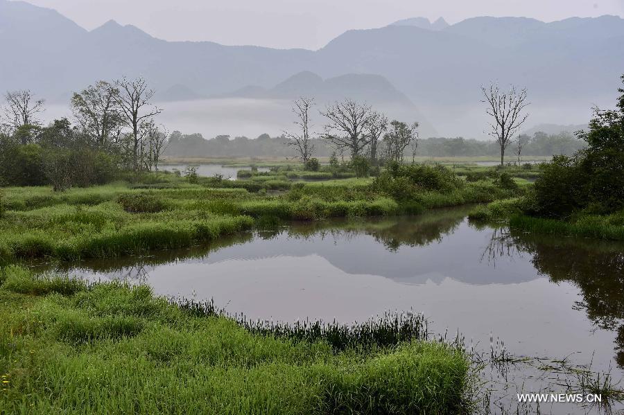 Amazing view of Dajiuhu Natiional Wetland Park in Shennongjia