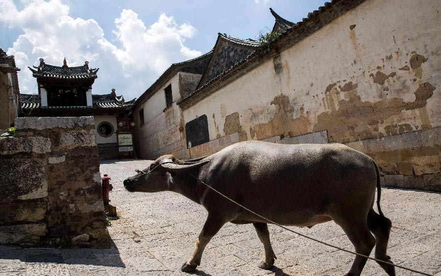 In pics: Tuanshan village in SW China