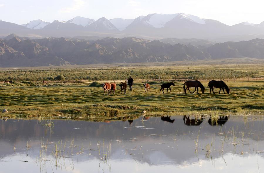 Picturesque Barkol grassland in Xinjiang