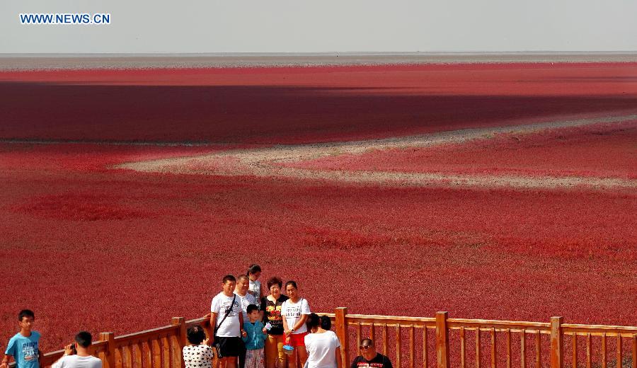 Tourists visit Red Beach in NE China