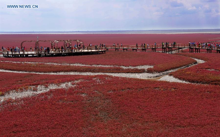 Tourists visit Red Beach in NE China