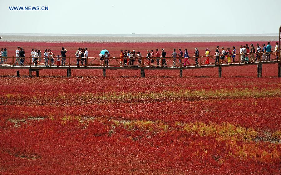 Tourists visit Red Beach in NE China