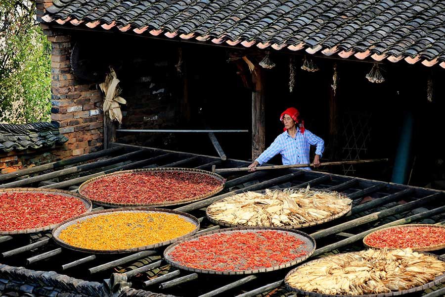 Harvested crops help present a unique autumn scene in Wuyuan ancient town