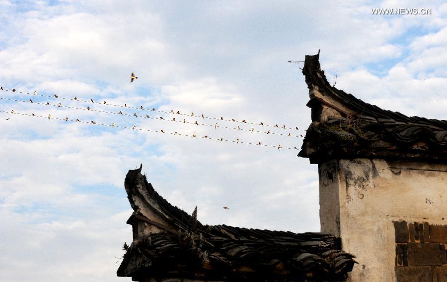 Ancient Xiaotian township in Anhui