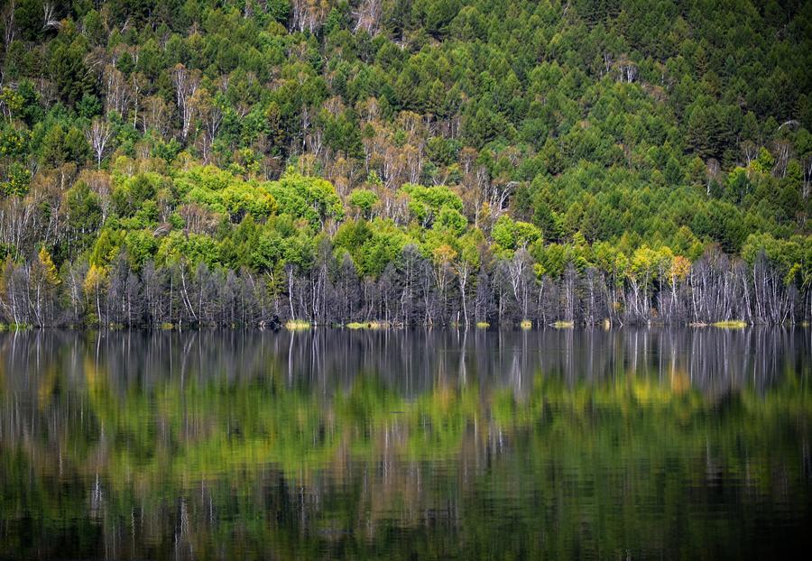 Autumn scenery in Arxan of Inner Mongolia