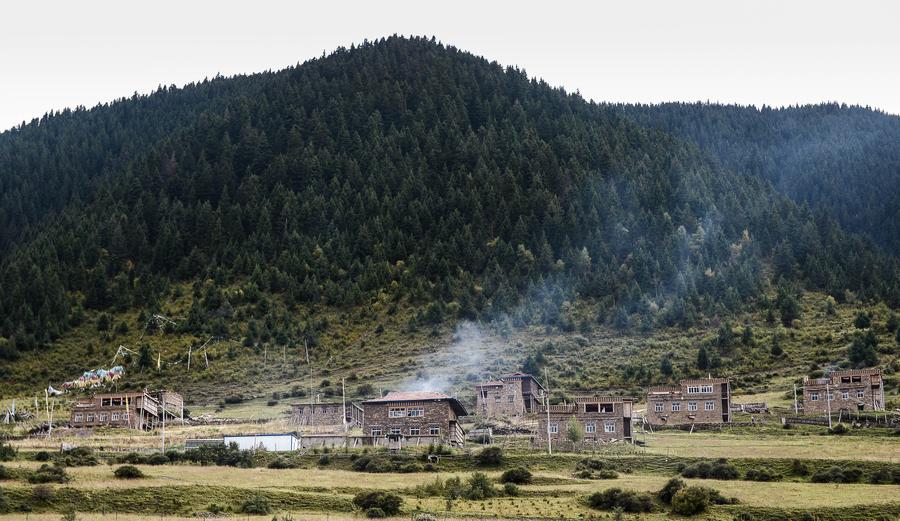 Scenery of Makehe primitive forest in Qinghai