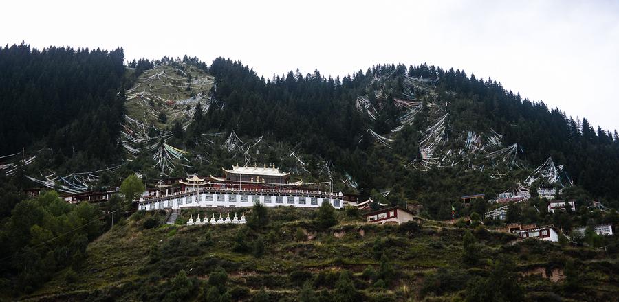 Scenery of Makehe primitive forest in Qinghai