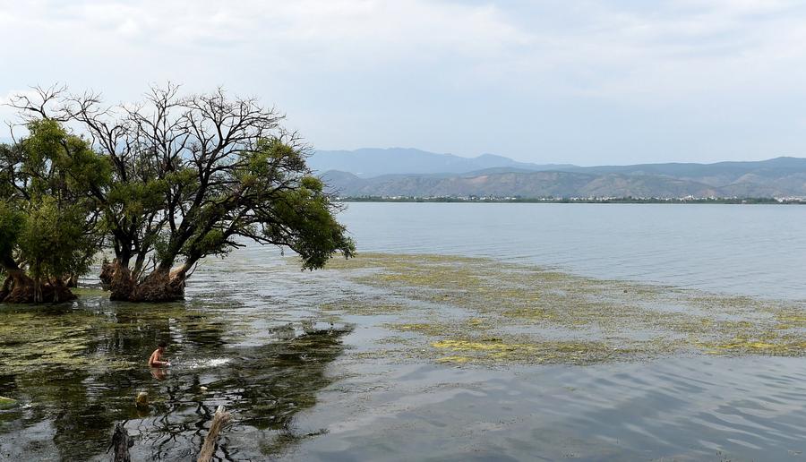 26.4 bln yuan invested to protect Erhai Lake