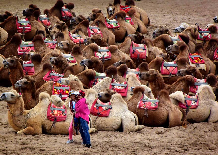 Desert tourism the new trend