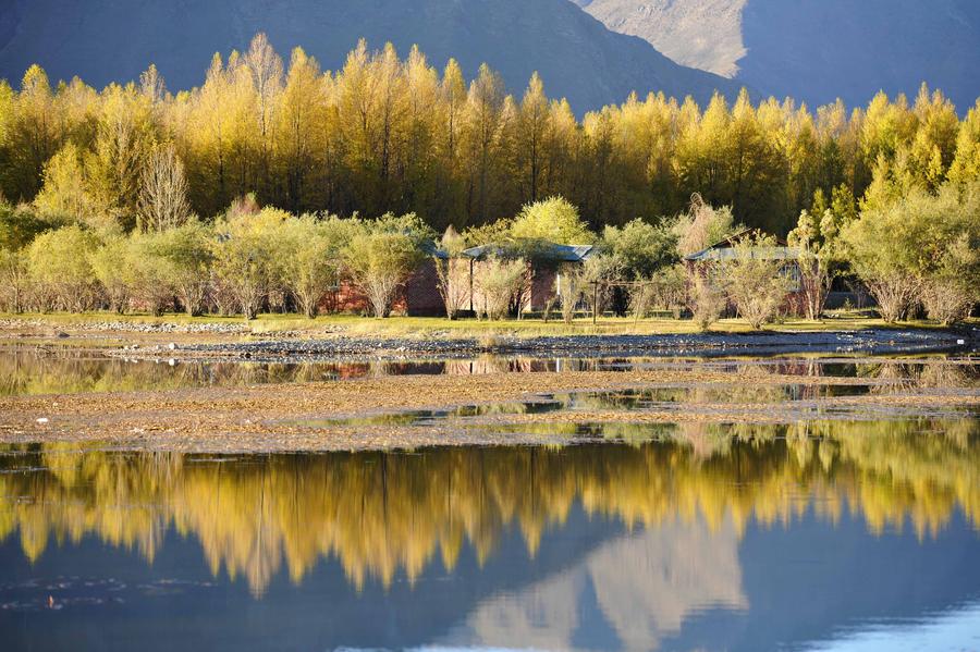 Autumn scenery in Dagze county of Tibet