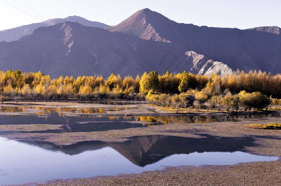Autumn scenery in Dagze county of Tibet